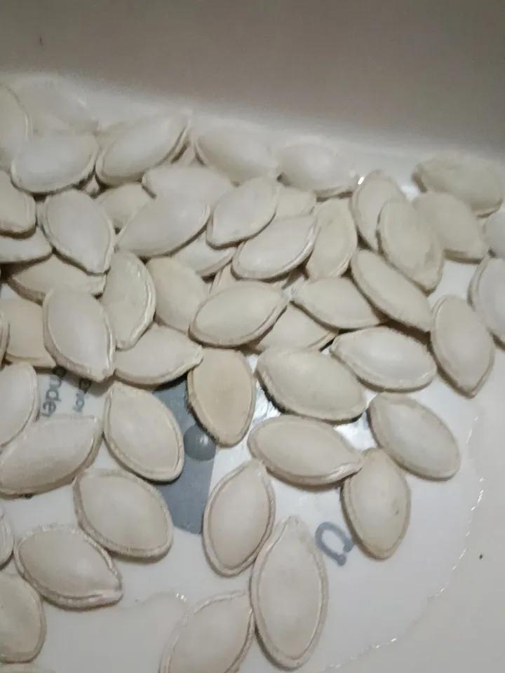 人过中年，开始养生，说吃南瓜籽好，就买了南瓜籽，吃习惯了，也不觉得难吃——卜之丁