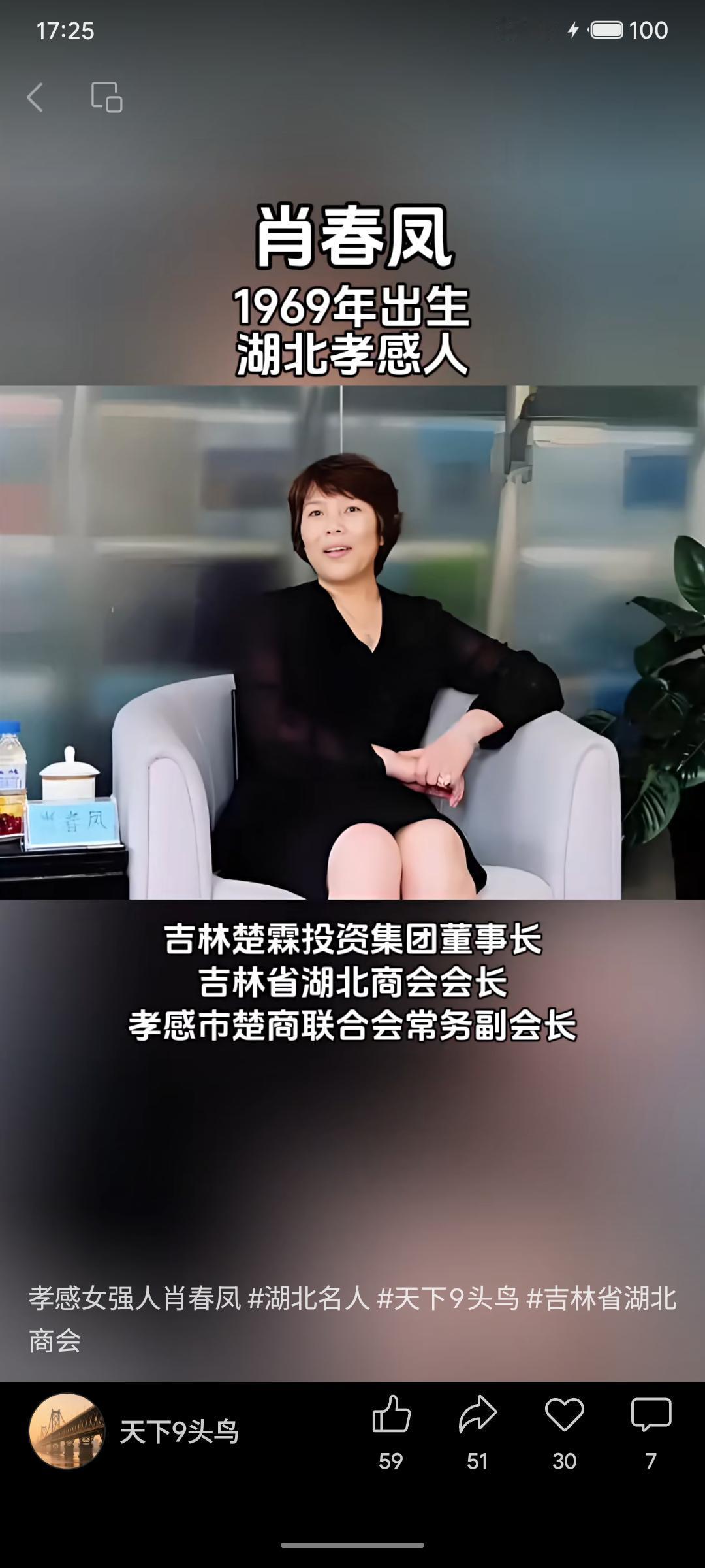 肖春风，1969年生于湖北孝感，是吉林楚霖投资集团董事长、吉林省湖北商会会长及孝