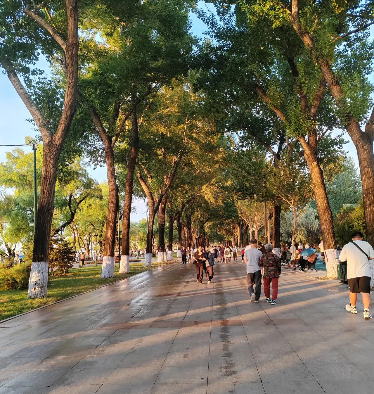 看到一个调解节目，女子是个二婚，和头婚男子相亲，并且向男子要了10万元彩礼，