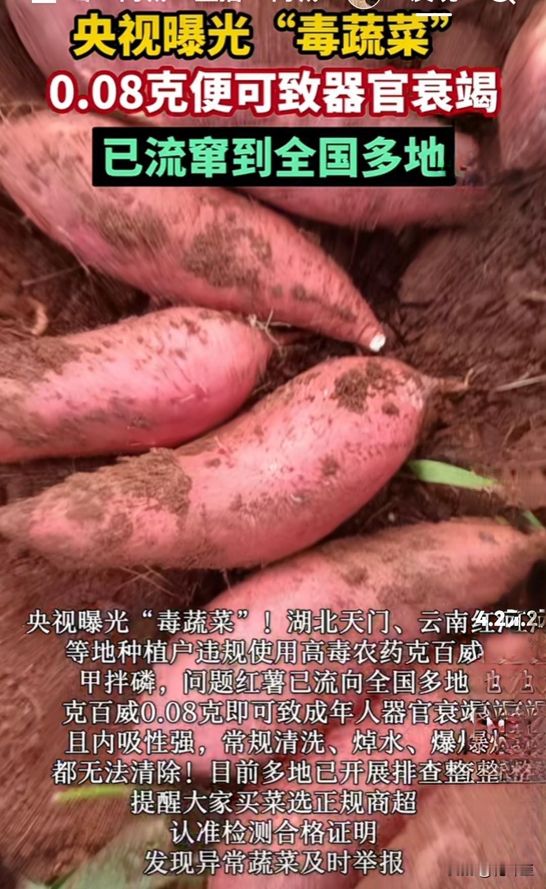 到底有没有毒？网上爆料湖北云南使用甲拌磷等高毒农药种植红薯等蔬菜，目前