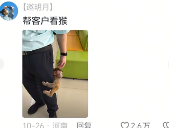 还在啊，那帮我再存上吧