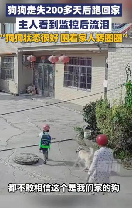 “万万没想到”！9月15日，湖南常德，一女子接外孙女放学时，竟然在路上遇到了走丢