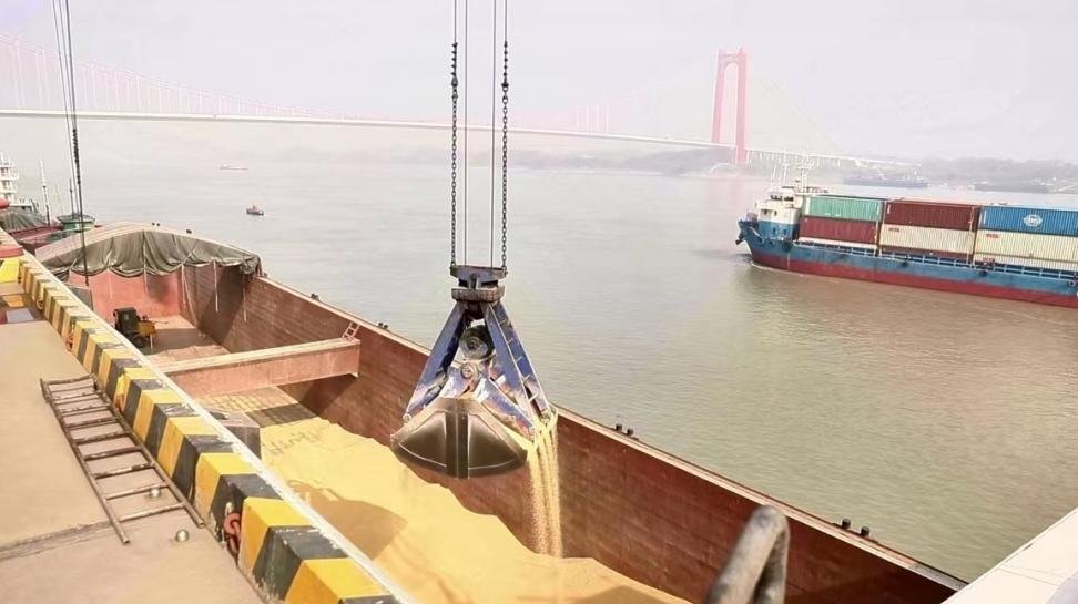 中国拒绝阿根廷30万吨大豆！DNA检测发现重大疑点，美国这下功亏一篑。2025