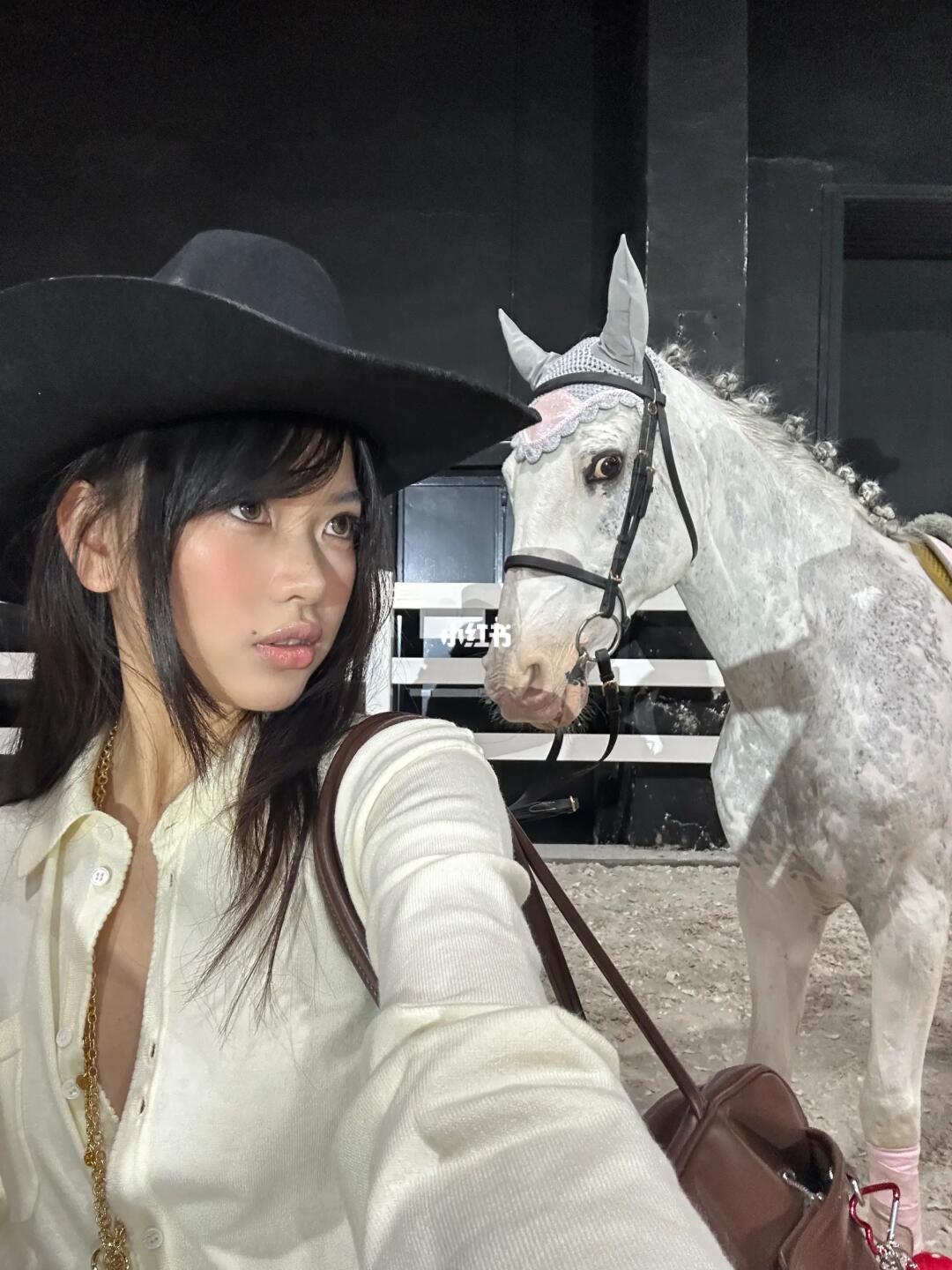 我的小马很可爱🐎