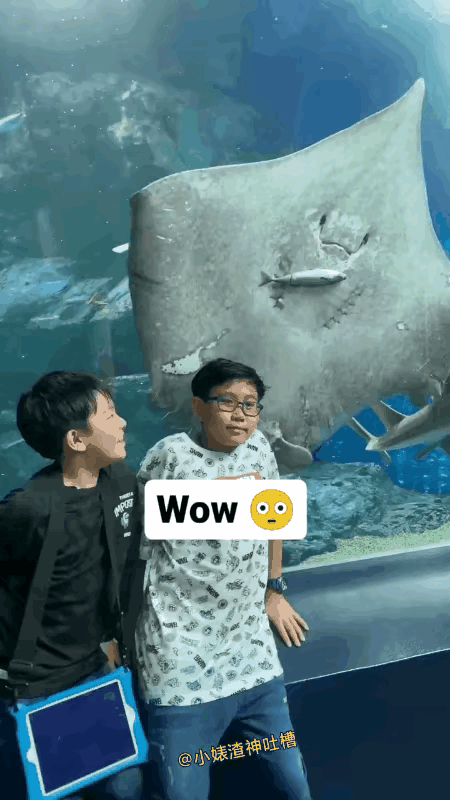 这个家伙吃东西的样子还是蛮可爱的。