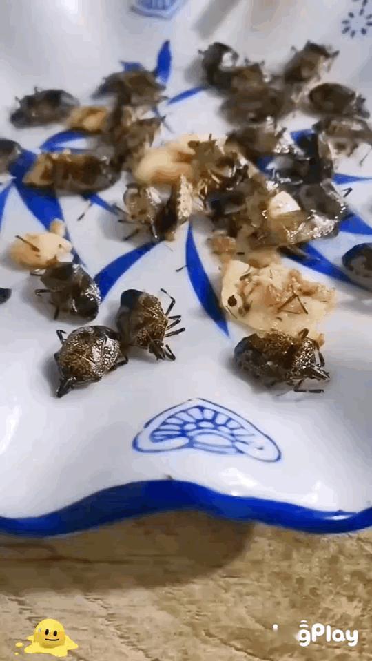 不懂就问，这又是一道什么样的美食？