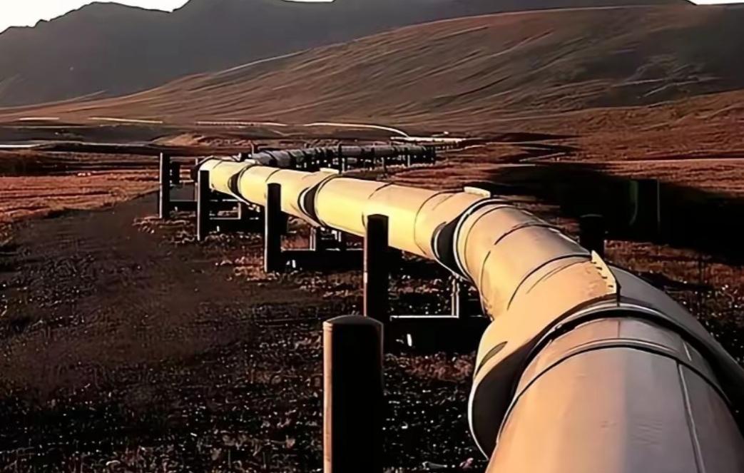 德国这下真要慌了。有知情人士薄爆料，俄罗斯已明确通知哈萨克斯坦和德国，从今年5月