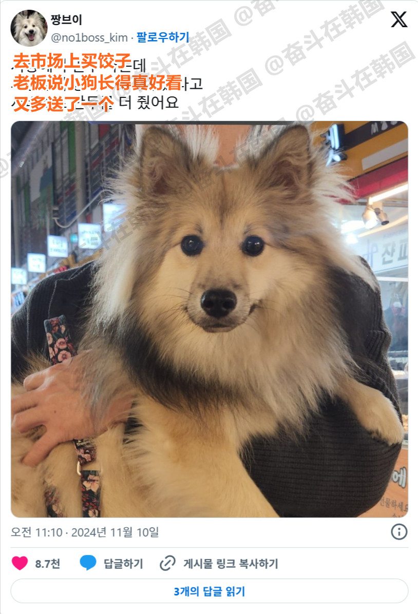去市场买饺子，老板看小狗长得好看，又多送了一个~海外新鲜事热点现场​​​