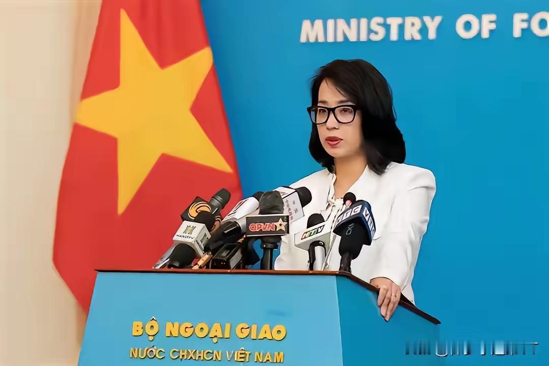 越南在南海的影响力不容小觑，越南在南海上拥有数十个岛礁，越南在南海上疯狂开采石油