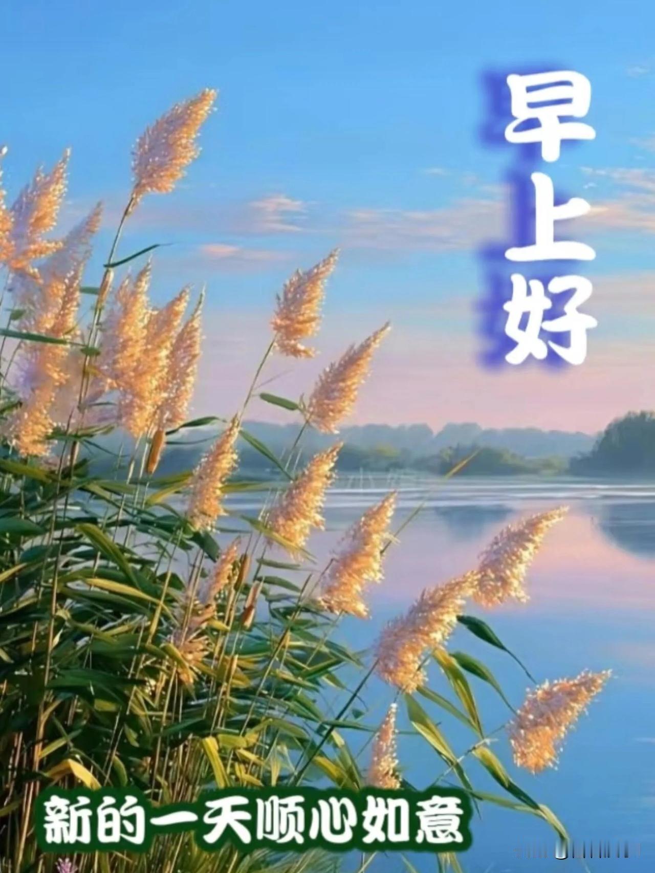 清晨的微风送来安然，世事纵然万般辛苦，守住心中的淡定，便是最好的归宿。早安，愿阖