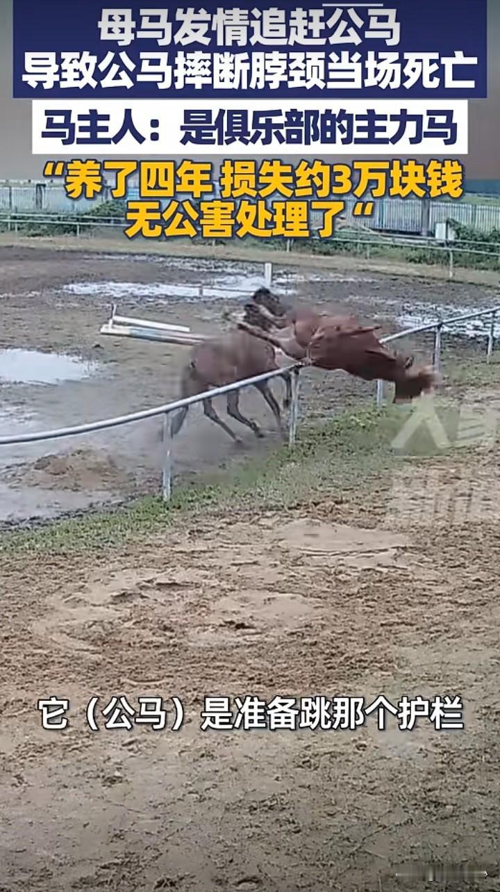 生命的脆弱！个人感觉，很多动物都是很坚强的，身体和力量都很好。比如，动物世界里