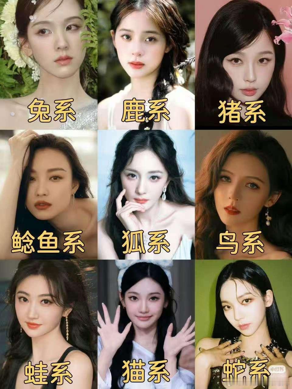 动物系女艺人陈都灵欧阳娜娜虞书欣倪妮杨幂张予曦景甜柳智敏​​​