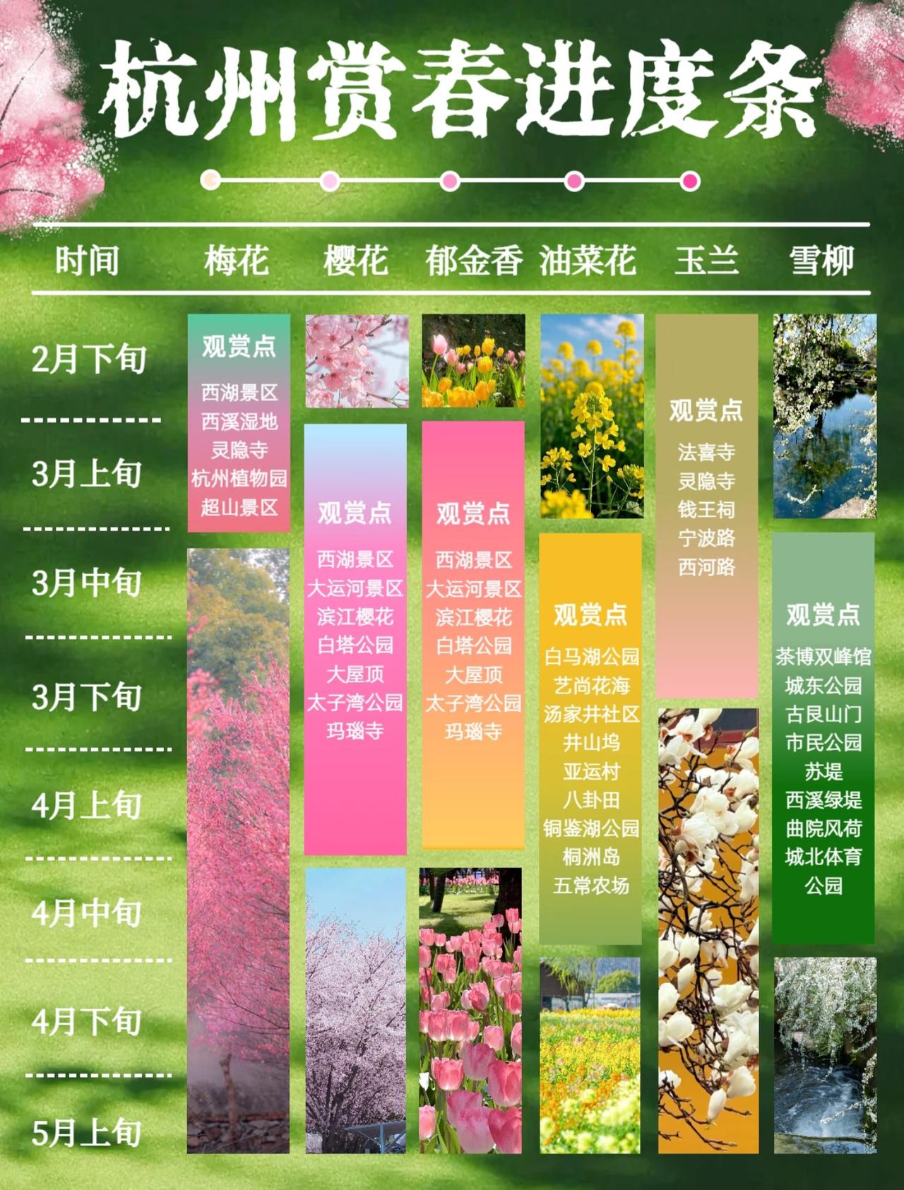 2026年杭州赏春进度条来啦！“上有天堂，下有苏杭”春天的杭州一定要来！不