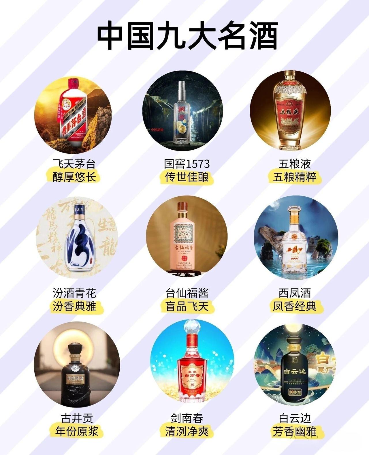 中国九大名酒承载千年酿酒技艺，风格迥异且各擅其长，每一款都藏着独特的风味底蕴。