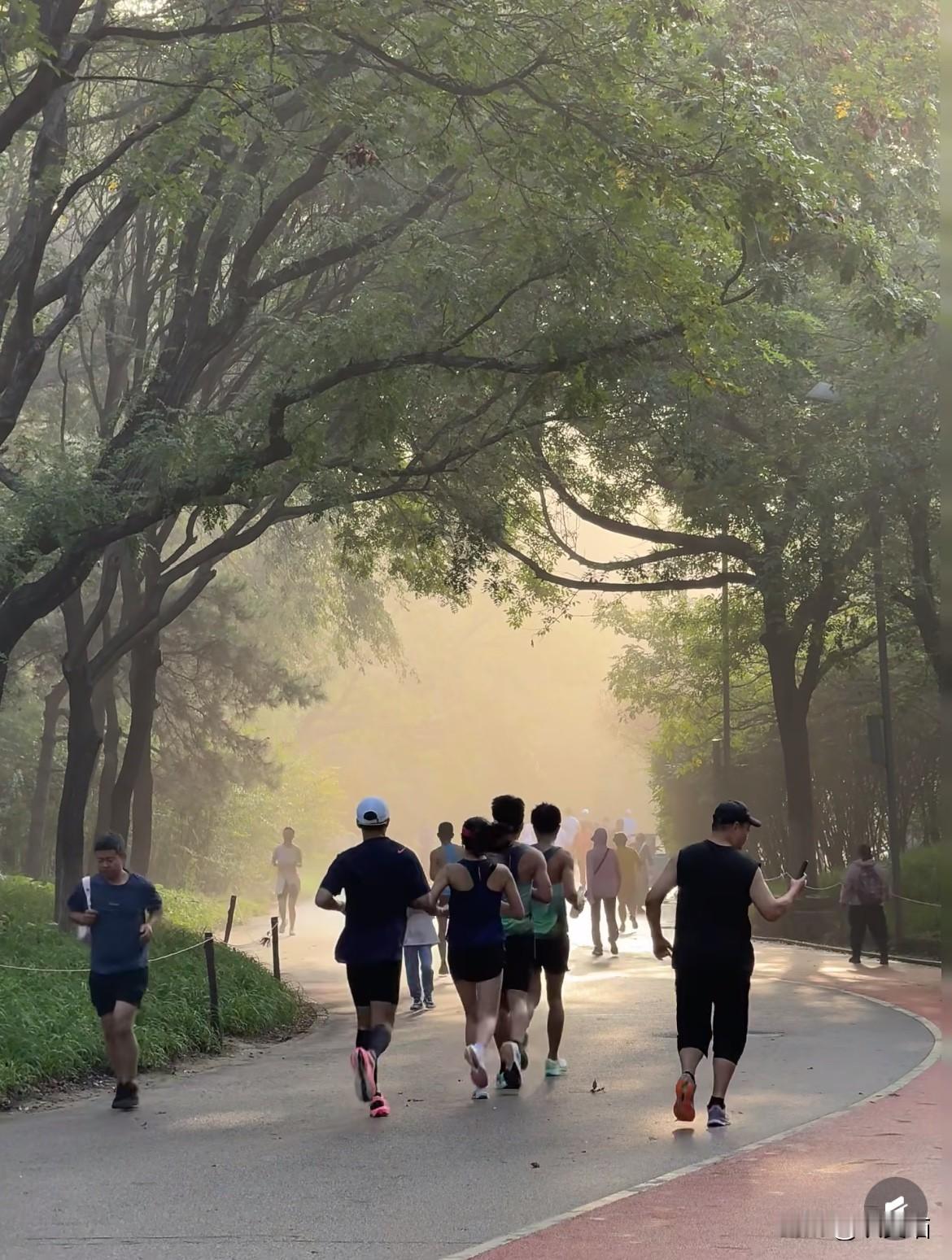 记者和保洁阿姨的沟通简直是“跨次元聊天”，原来最搞笑的误会从来都藏在生活里。