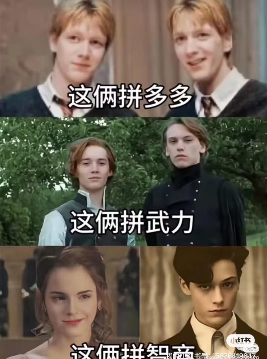 HP梗图哈利波特哈迷