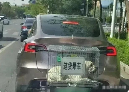 良心车主，难怪开得起好车。