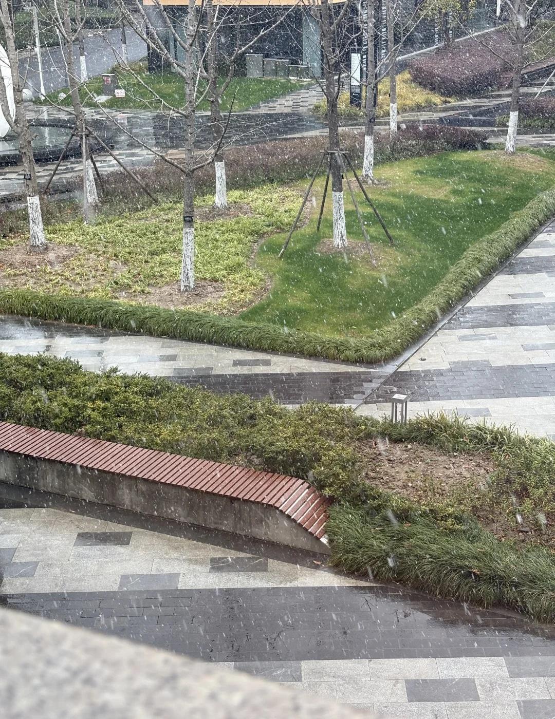 已经很多年没下雪的上海，突然下雪浦东也下雪啦虽然下到头上还是雪，到地面了