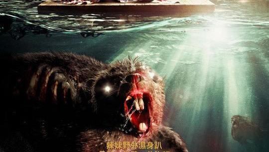 最恐怖的僵尸片_骷髅头骨图片 第14张