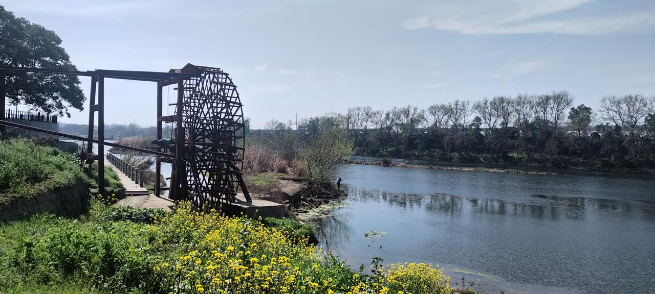 晒图笔记大赛筒车、小船、油菜花，春日和煕，阳光明媚！