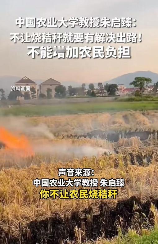 “这才是真正心系百姓、敢说真话的教授！”中国农业大学的朱启臻教授，掷地有声地为农