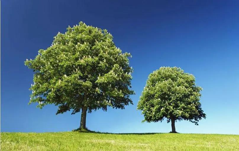 高三女生小宋告诉记者：学习很困难，真的很困难，很努力地学习，成绩还是倒数“看