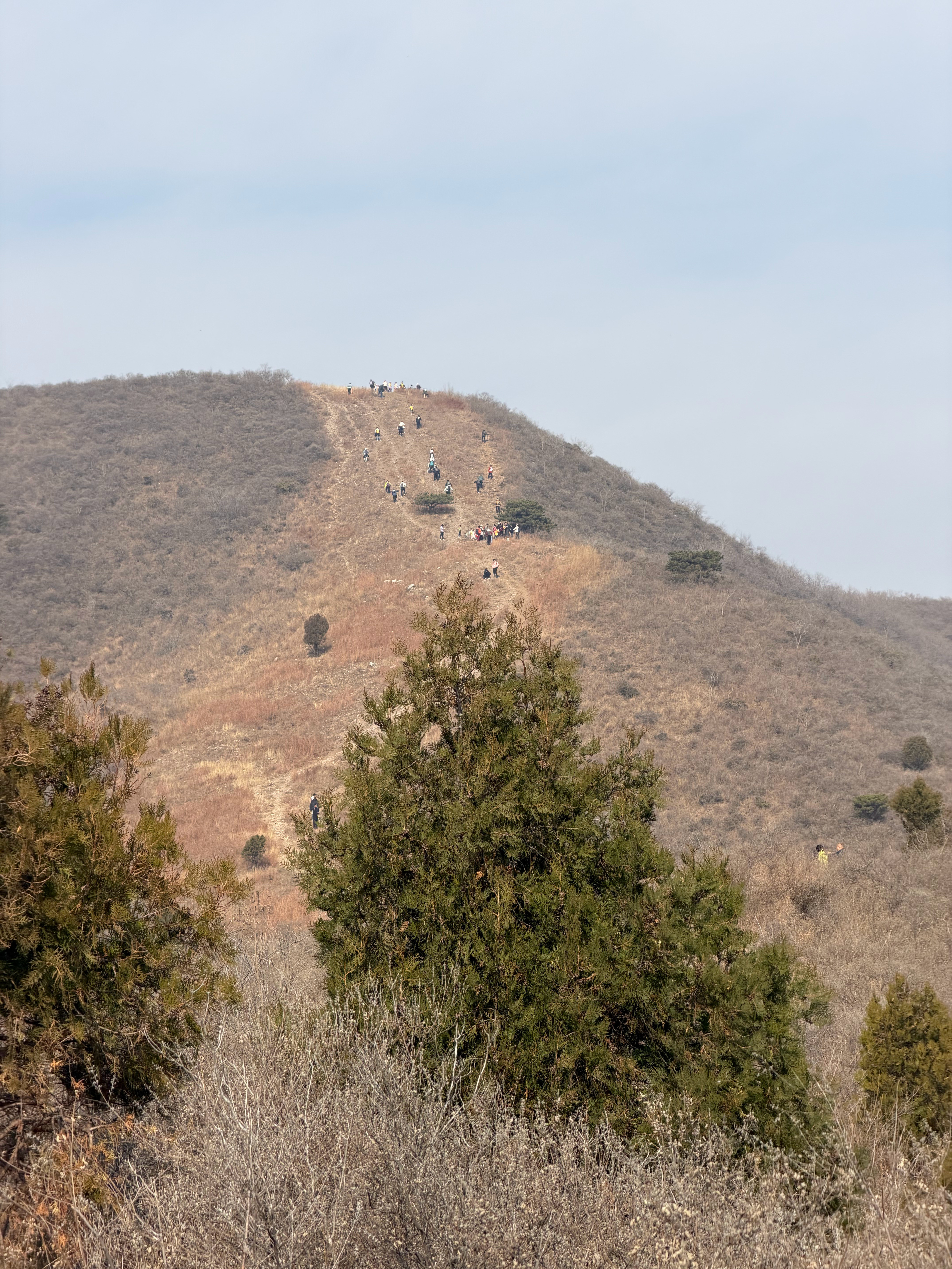 带娃徒步，10km，开始