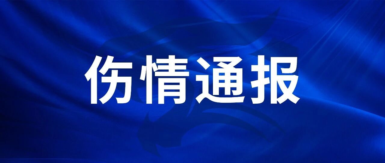 武汉三镇官方: 亚姆卡姆肌肉伤复发, 预计恢复期三周