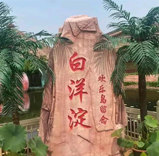 要解决白洋淀景区这事，应该先从追责文旅部门做起！白洋淀景区这事儿闹得确实大。口