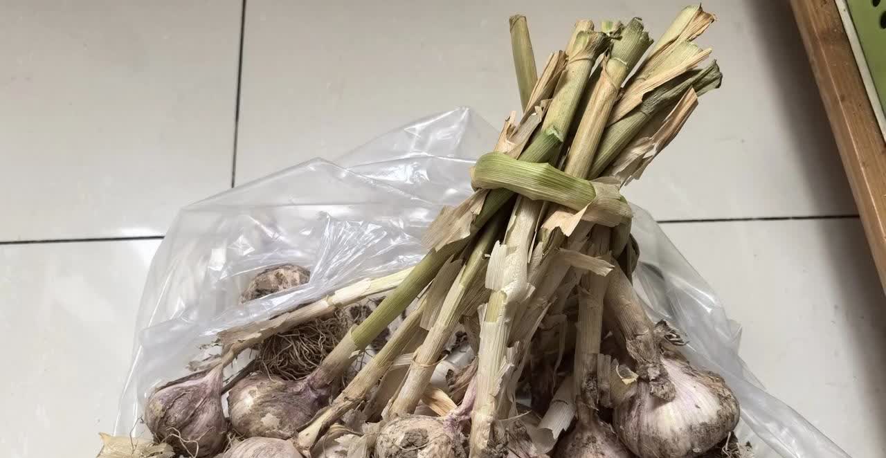 昨天晚市上吃了两次亏，很多上了年纪的老人，根本就不值得同情。先讲讲我吃的第一次亏