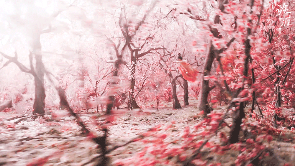 陈瑶《水龙吟》西方桃/动图EP13-01粉衣（粉白）-桃花林🌸🌸🌸