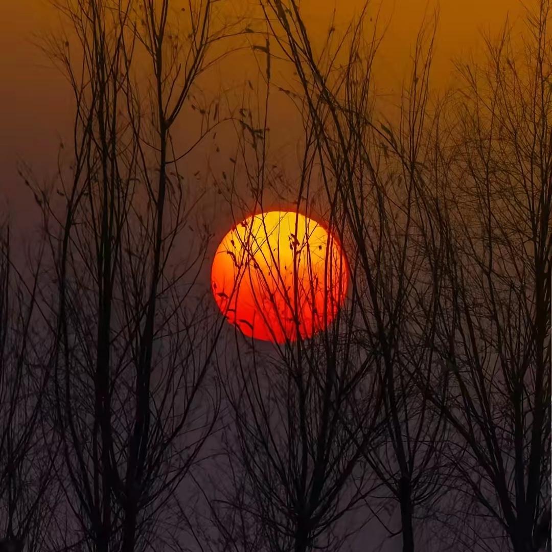 看到有人说分手后要不要复合，如果分手后你怀念的是他的人品和性格，建议你回头；