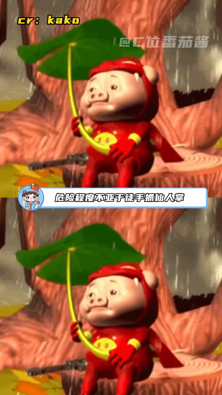 原来井盖上面也有玻璃纤维。我一直以为井盖是铁做的，顶多担心踩空。直到看到有家长