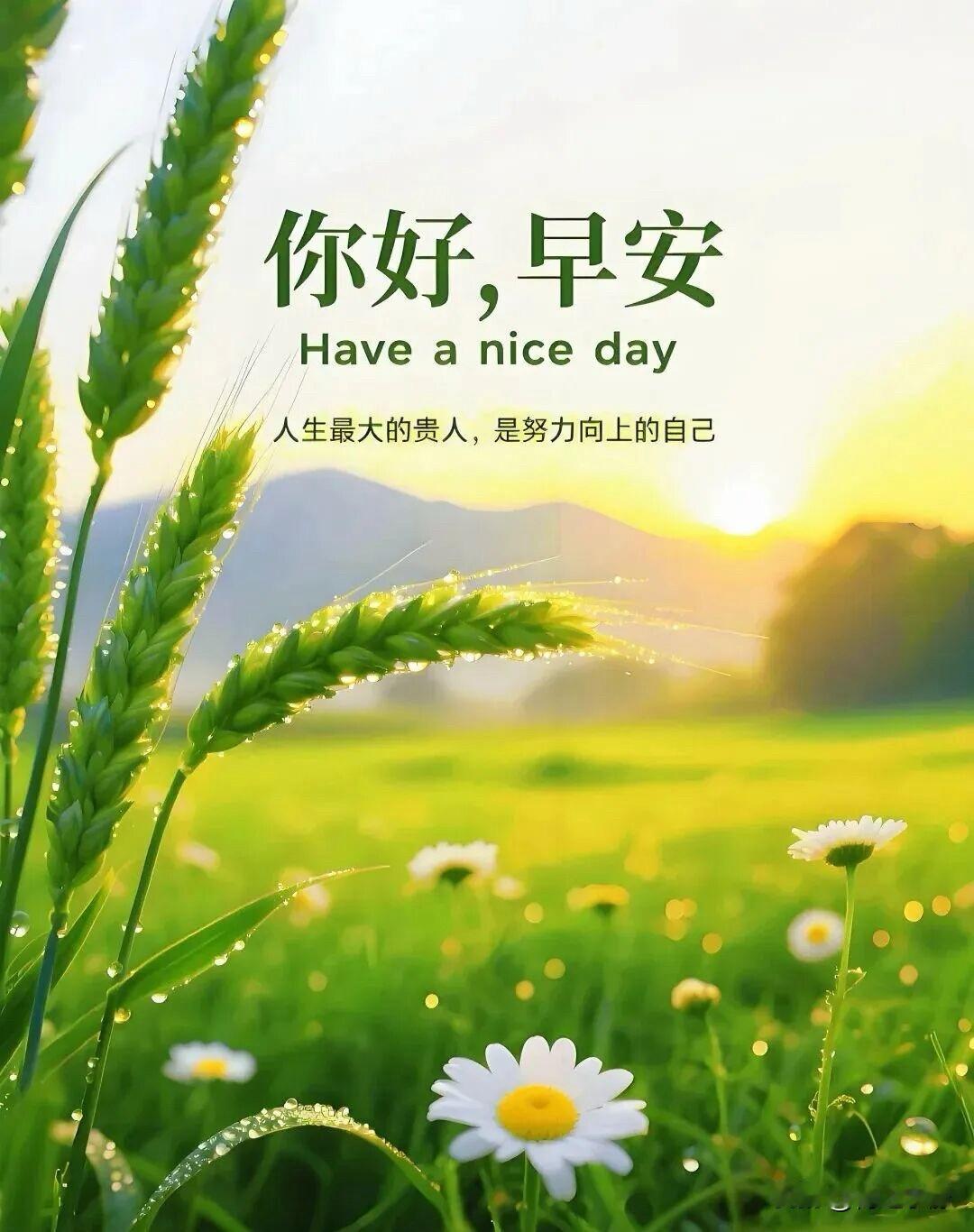 🍂²⁰²⁶/₀₈.₁₈ᵕ̈周二｜风叙温柔☕️🍒🍑🐎🍃𝐆𝐨𝐨𝐝