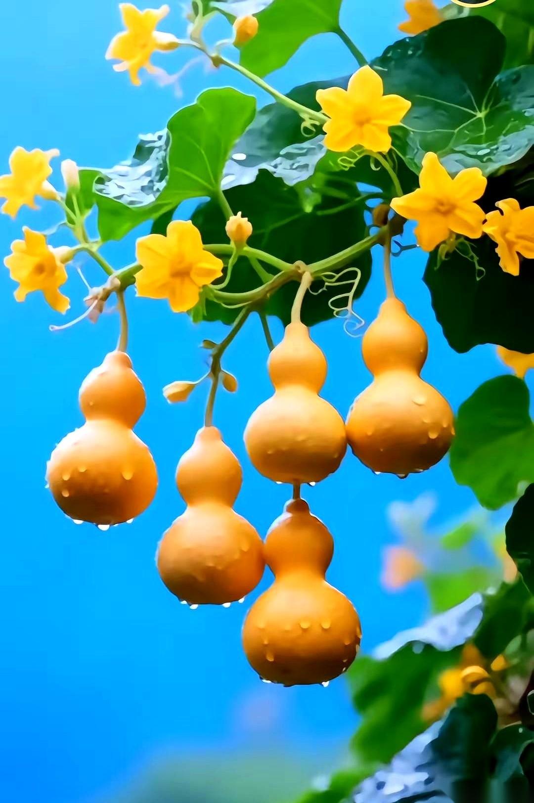 我可能真的有点病了。手里攥着快60万的存款，还有一份收租的房子，工资也不算低。