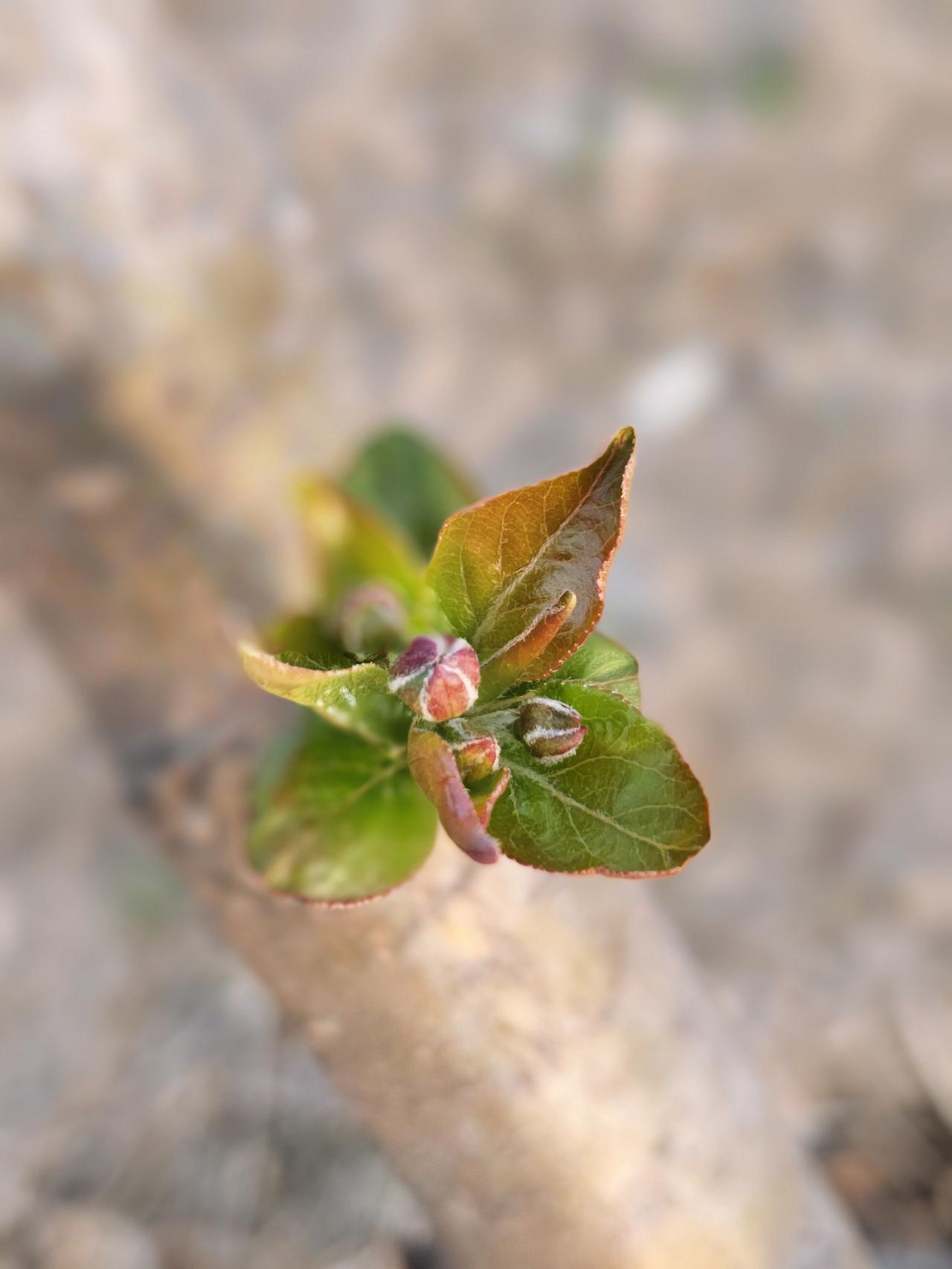 真正的大智慧，是意识到我们只是体验者，而不是拥有者。人生只有当下，没有永恒