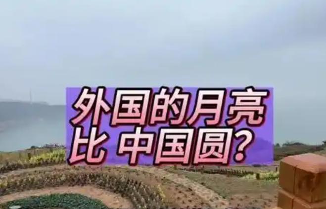 美国学者说，“以前我不理解为什么中国人都不喜欢国内崇洋媚外的人，后来明白了，很多