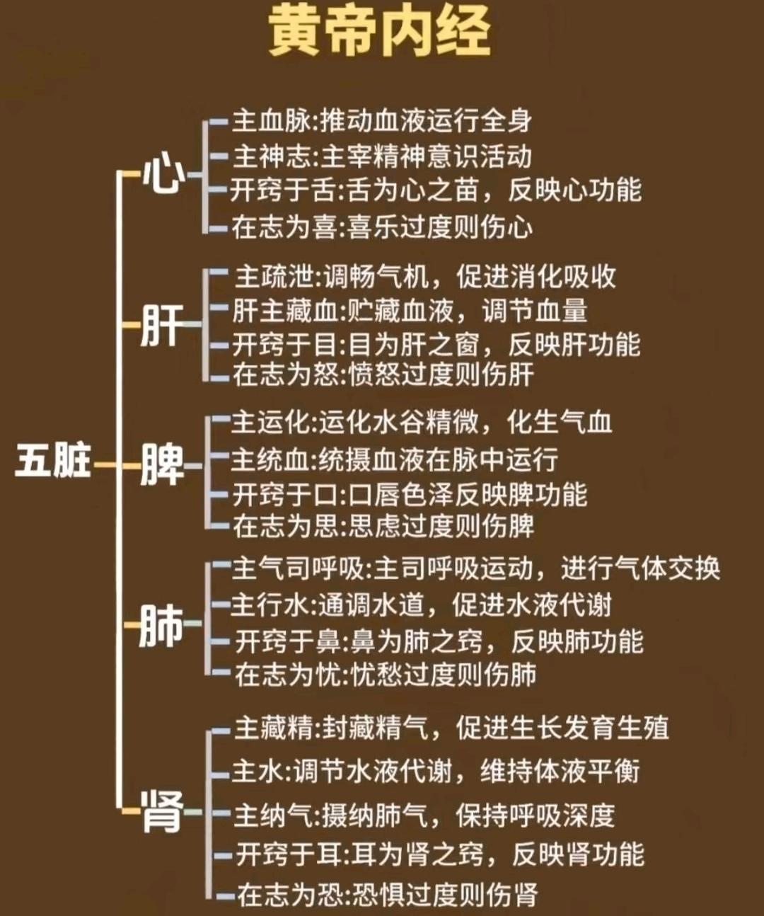 健康知识科普 中医对于脏腑的功能介绍 养生知识分享 身体调节小常识 又...