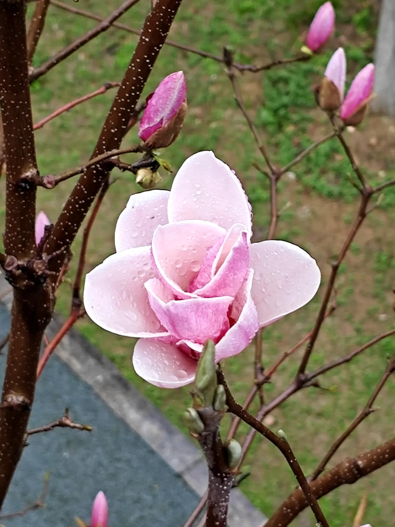 钱啊钱婆婆住院，又是请护工，又是转院，三个儿女路上奔波。这次在老家住院，花费7