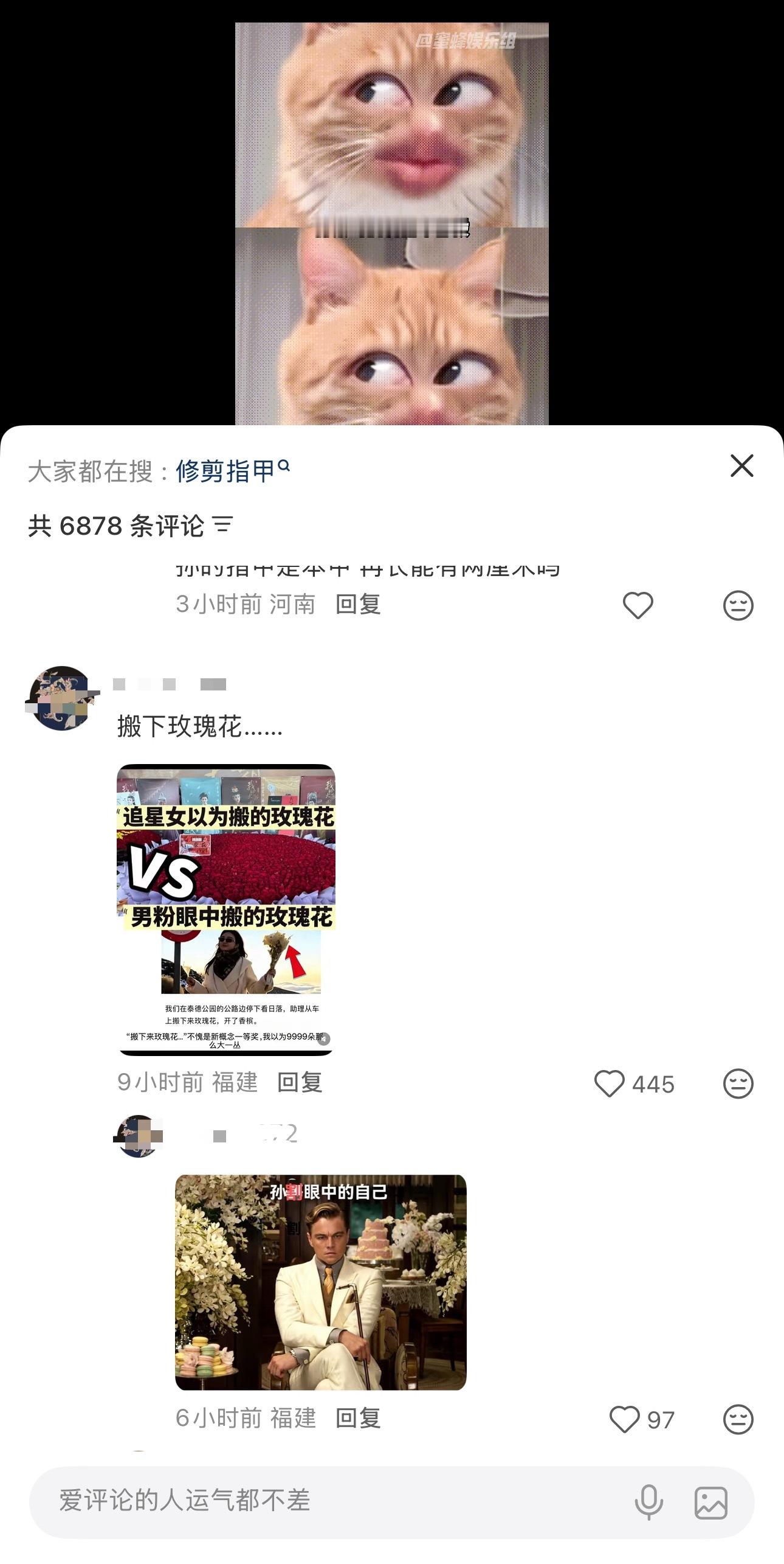 我不行了，梗图里的花是陈丽君的​​​