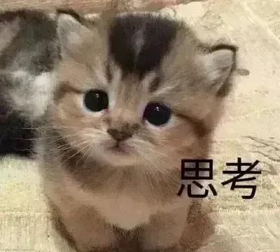 男人，你要记住如果你一旦和女人在一起了就要为女人的未来负责女人呢一旦花