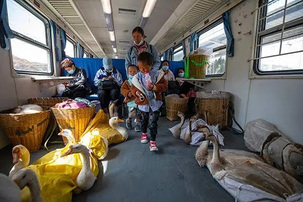 印度网民在外网上发了一组四川大凉山扶贫慢车的照片，然后用略带嘲讽的语气说到：这也
