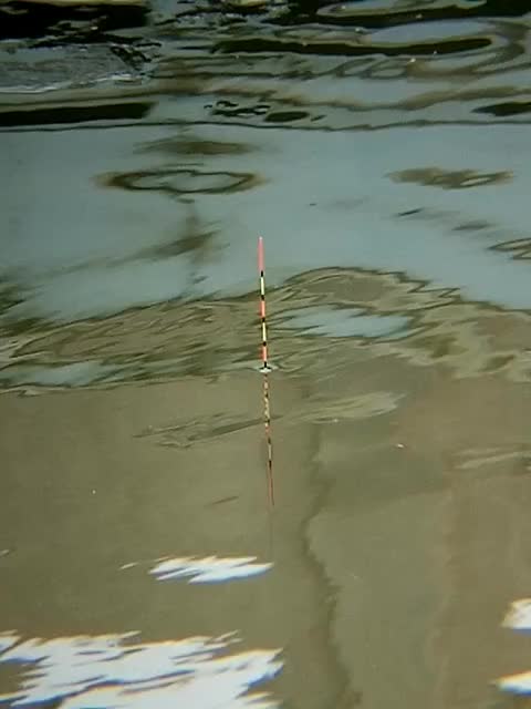 《凤隐天下》(一品废妻)伪片头_土豆视频