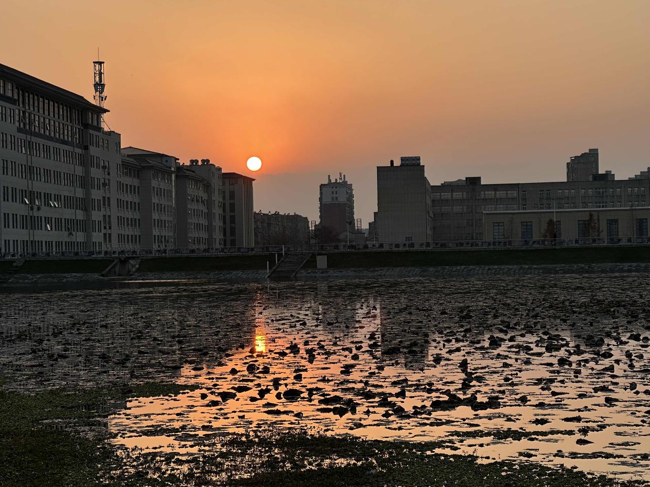 同一天内的两个偶遇，两个偶遇对象的态度，冰火两重天！第一个偶遇就发生在自家楼