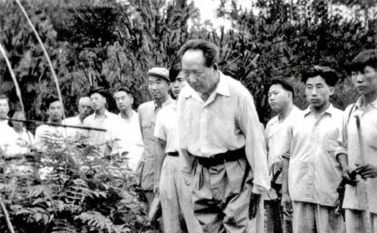 🌞1959年，毛主席时隔32年再次回到自己的老家韶山，在祭拜父母的时候，发