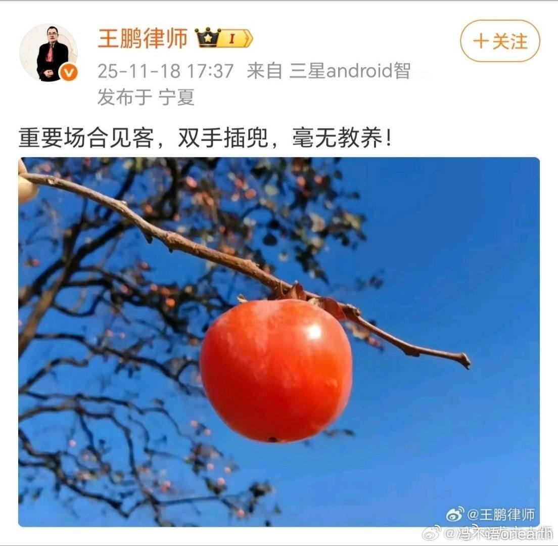 有些律师有点太激动了。不过是客还是敌，主人分不清？