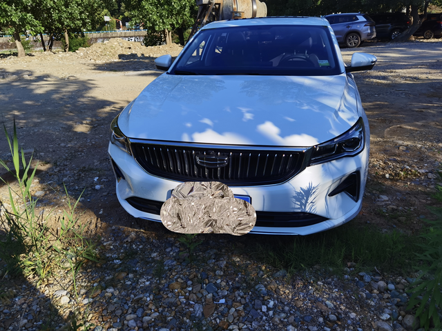 帝豪1.5L尊贵型车主1.车辆情况简介:首先，我想说，这款车型是我在懂车帝上