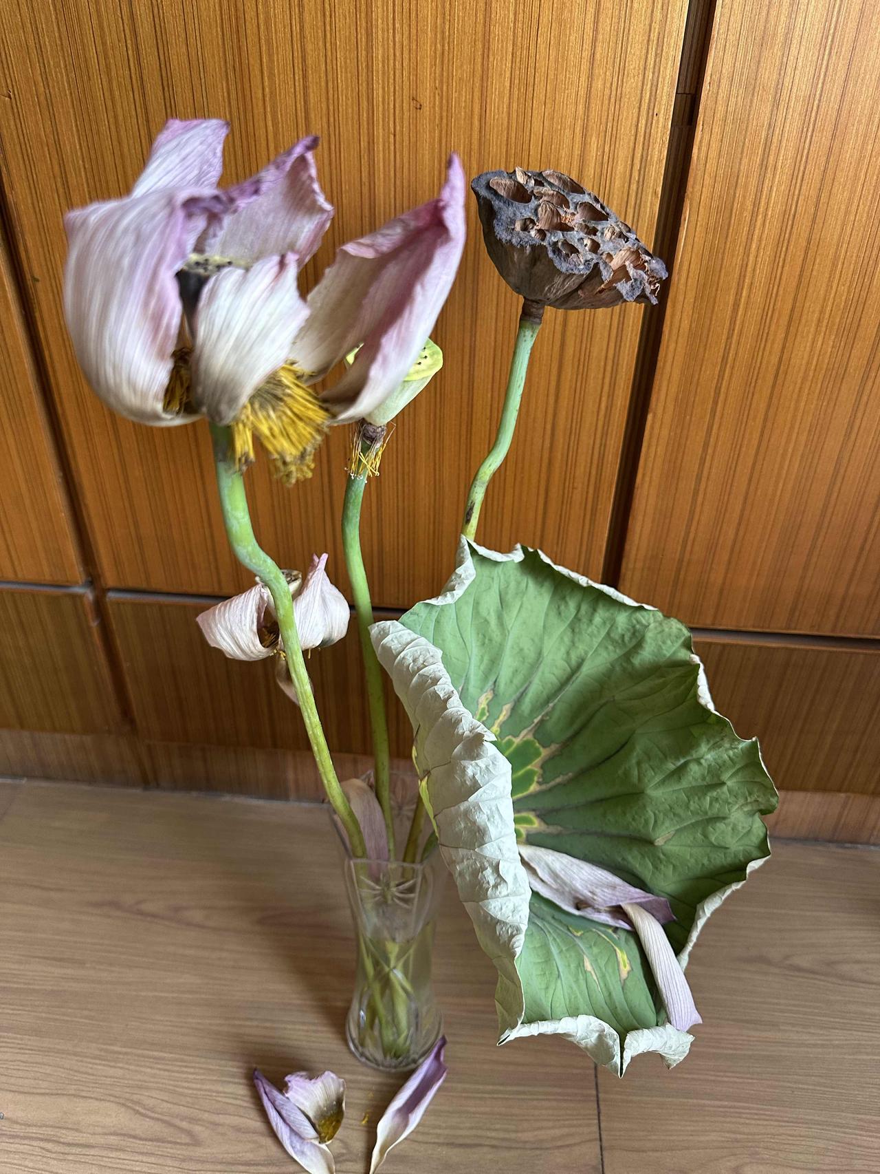 我的老同学真逗，又给我来这一出了！晚上7:03，我手机拿在手上玩，突然跳出微信