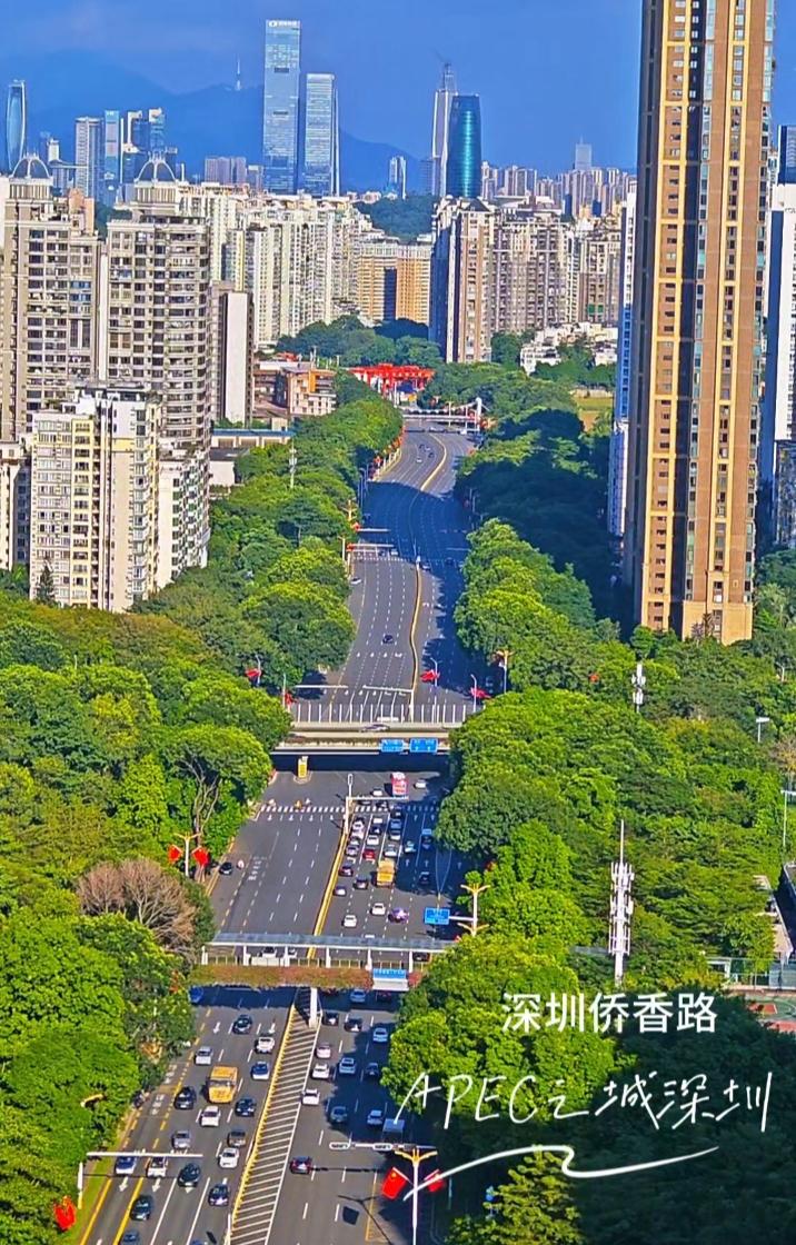 发现深圳的城市道路绿化水准真的很高。国庆期间游深圳，北方很多城市已经雪花飘飞了，