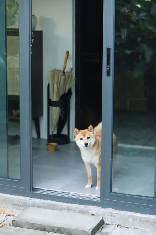 民宿老板放烟花庆祝携程被查：谁懂我们被抽佣60%、流量封锁的苦？“快看！这